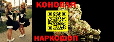 сатива Будённовск