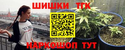 сатива Будённовск