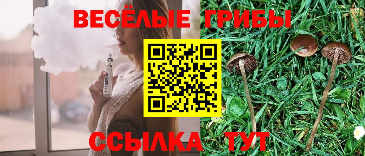 Буйнакск  Псилоцибиновые грибы прущие грибы  Вход с VPN 